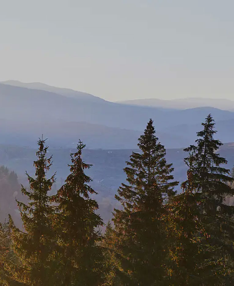 กระดานเมลามีนดีไซน์หนัง